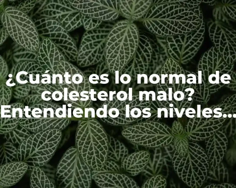 ¿Cuánto es lo normal de colesterol malo? Entendiendo los niveles saludables de LDL