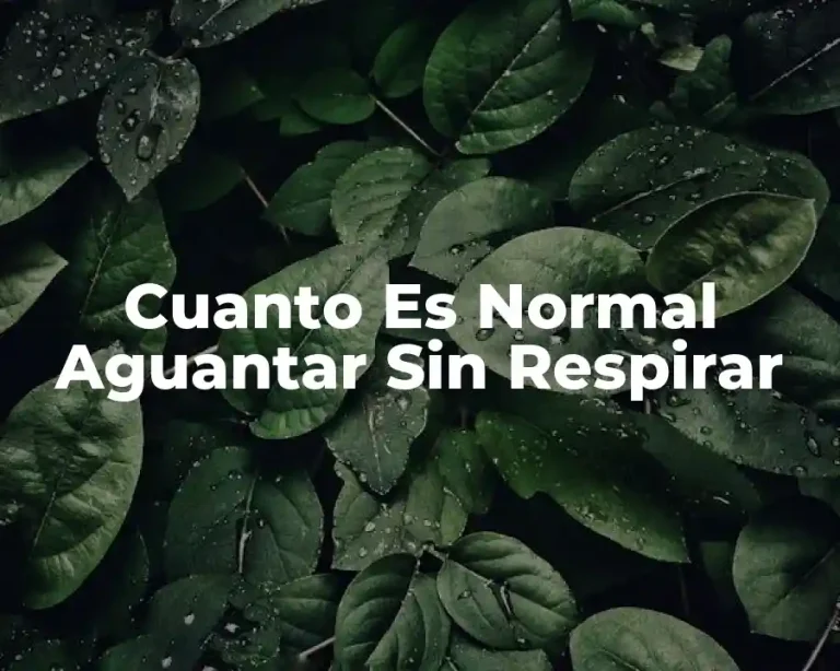 Cuanto Es Normal Aguantar Sin Respirar