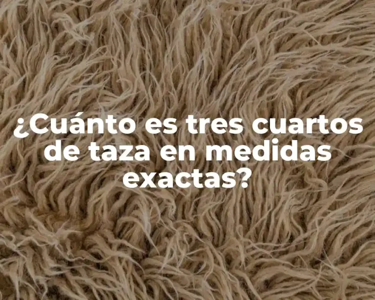 ¿Cuánto es tres cuartos de taza en medidas exactas?