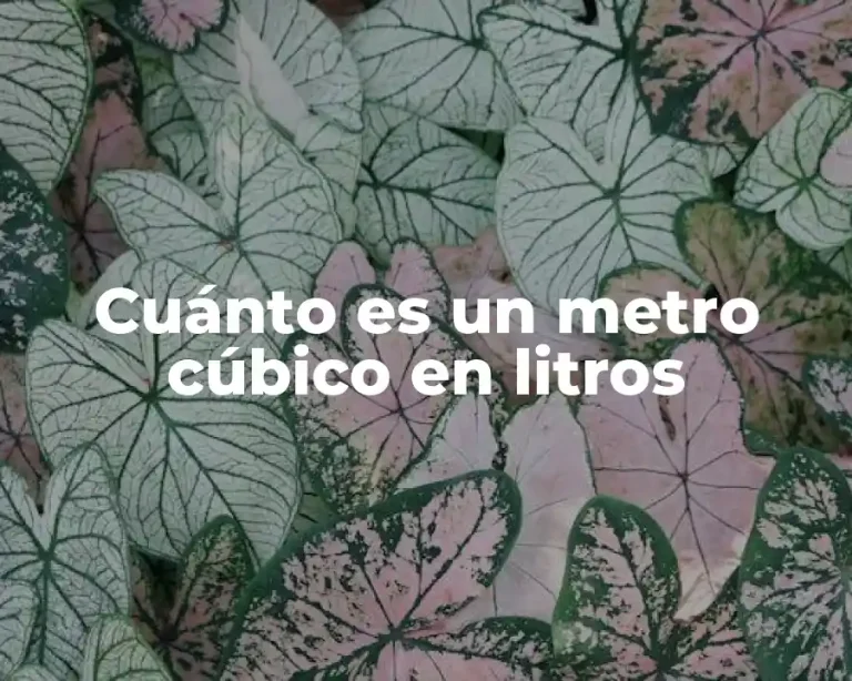 Cuánto es un metro cúbico en litros