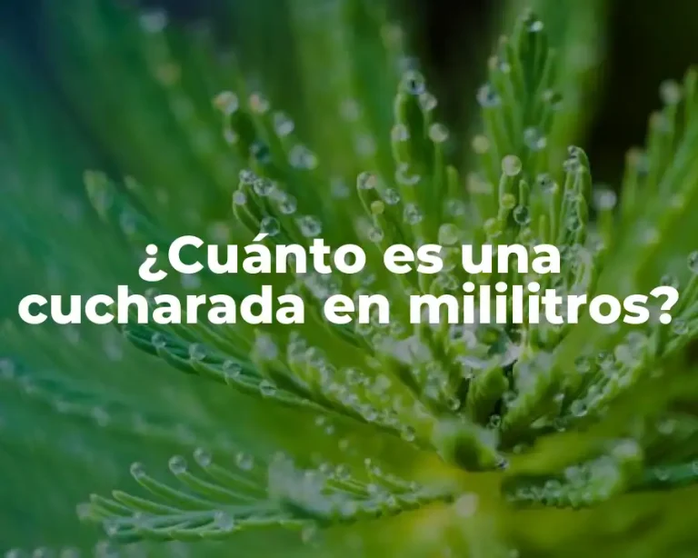 ¿Cuánto es una cucharada en mililitros?
