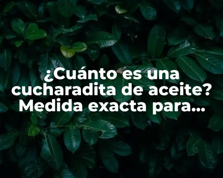 ¿Cuánto es una cucharadita de aceite? Medida exacta para cocinar con precisión