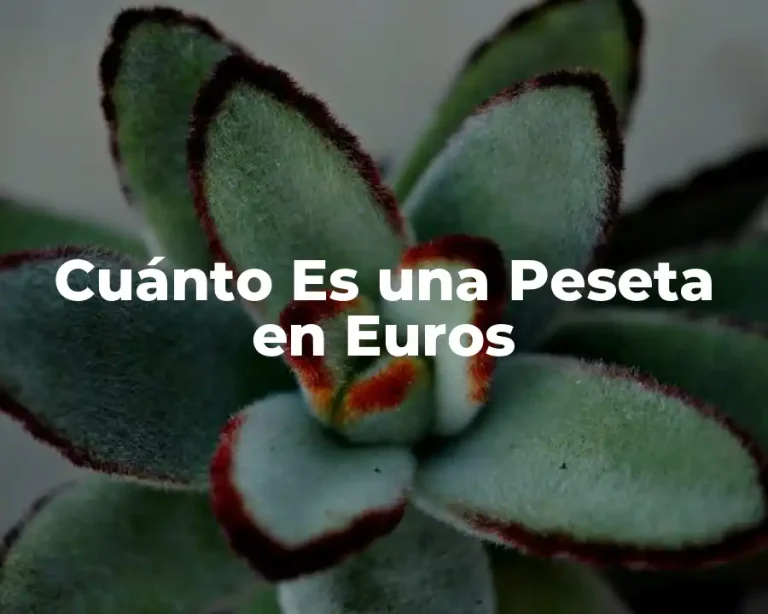 Cuánto Es una Peseta en Euros