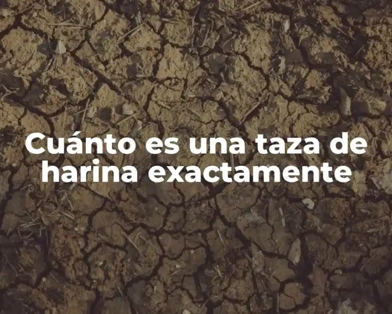 Cuánto es una taza de harina exactamente