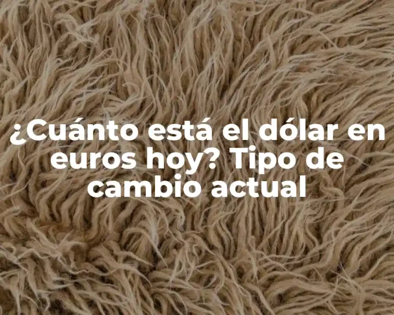 ¿Cuánto está el dólar en euros hoy? Tipo de cambio actual