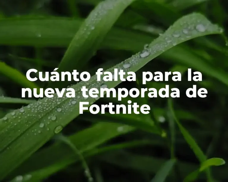 Cuánto falta para la nueva temporada de Fortnite