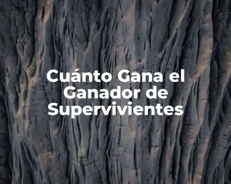 Cuánto Gana el Ganador de Supervivientes