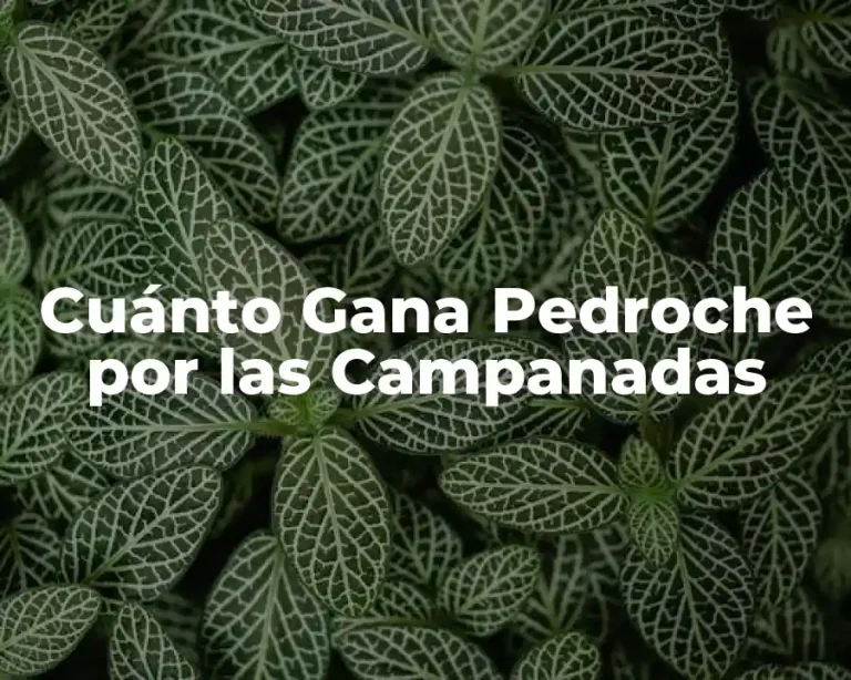 Cuánto Gana Pedroche por las Campanadas