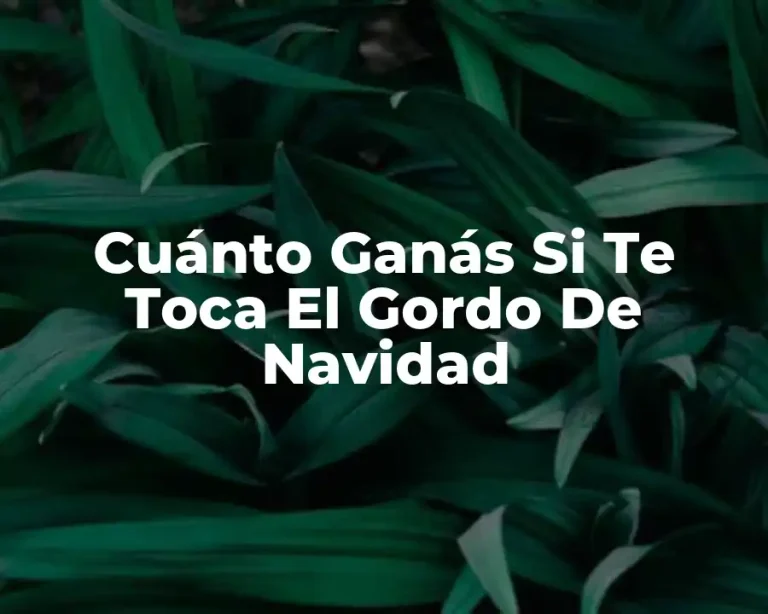Cuánto Ganás Si Te Toca El Gordo De Navidad
