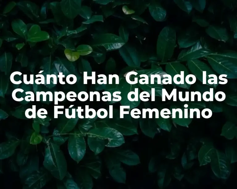 Cuánto Han Ganado las Campeonas del Mundo de Fútbol Femenino