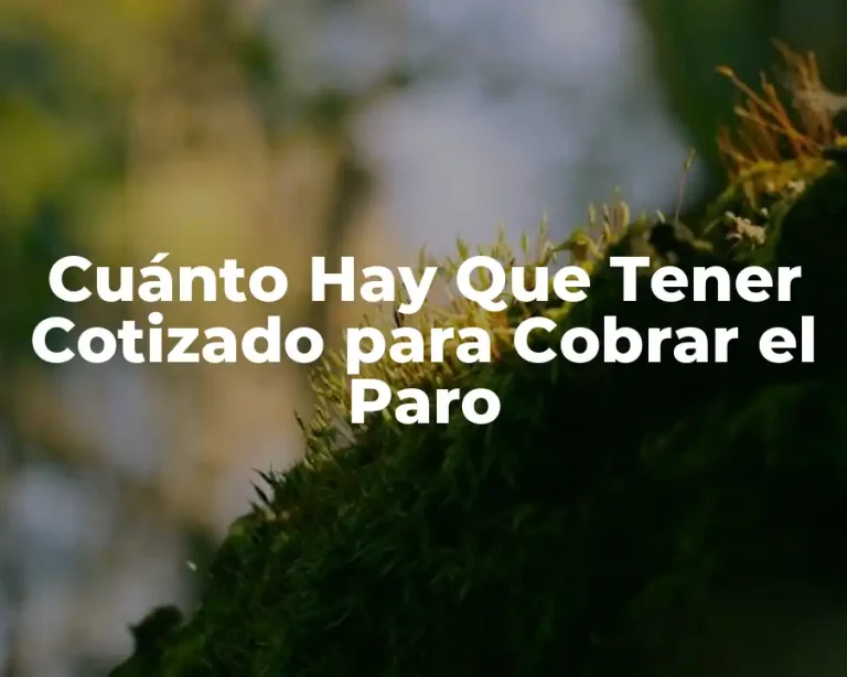 Cuánto Hay Que Tener Cotizado para Cobrar el Paro