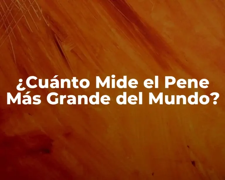 ¿Cuánto Mide el Pene Más Grande del Mundo?