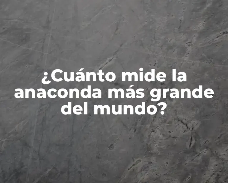 ¿Cuánto mide la anaconda más grande del mundo?