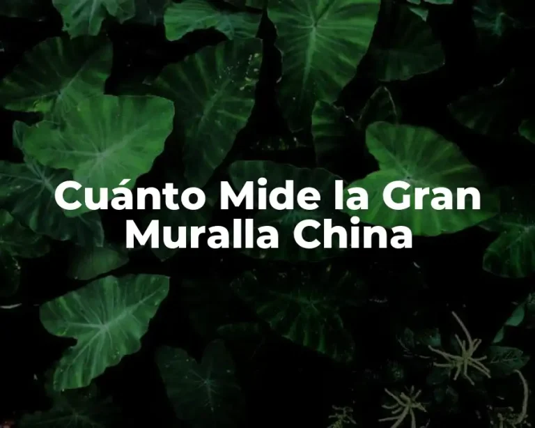 Cuánto Mide la Gran Muralla China