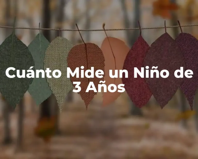 Cuánto Mide un Niño de 3 Años
