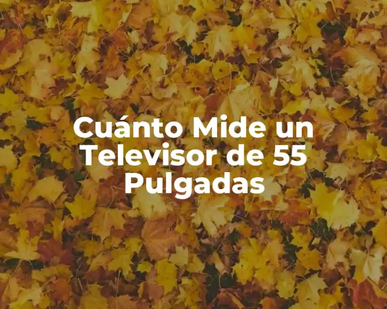 Cuánto Mide un Televisor de 55 Pulgadas