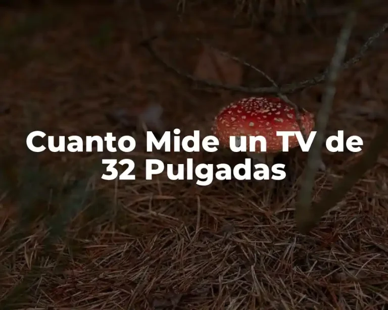 Cuanto Mide un TV de 32 Pulgadas