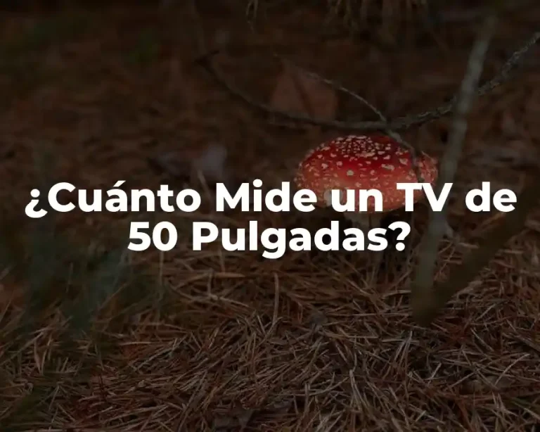 ¿Cuánto Mide un TV de 50 Pulgadas?
