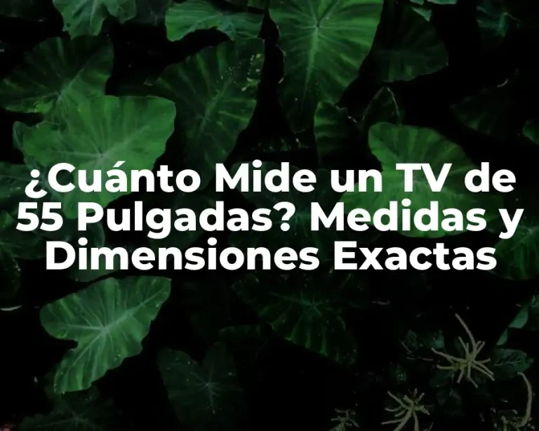 ¿Cuánto Mide un TV de 55 Pulgadas? Medidas y Dimensiones Exactas