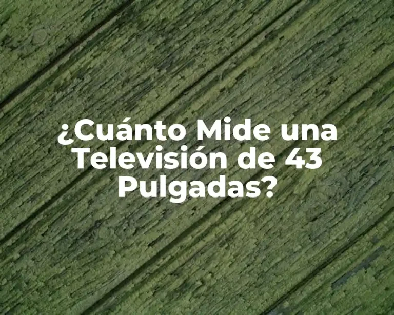 ¿Cuánto Mide una Televisión de 43 Pulgadas?