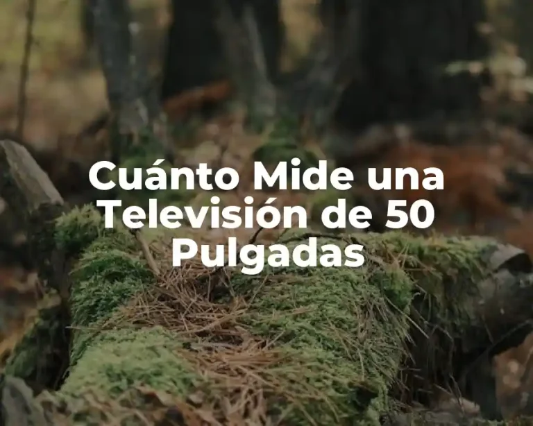Cuánto Mide una Televisión de 50 Pulgadas
