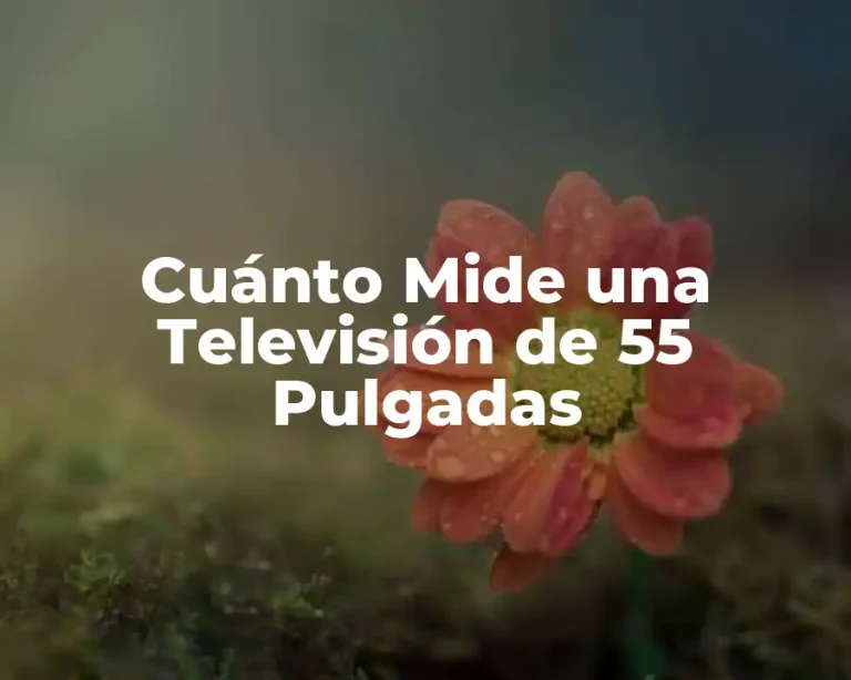 Cuánto Mide una Televisión de 55 Pulgadas