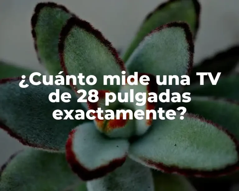 ¿Cuánto mide una TV de 28 pulgadas exactamente?