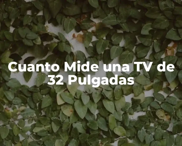 Cuanto Mide una TV de 32 Pulgadas