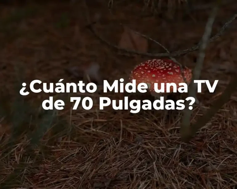 ¿Cuánto Mide una TV de 70 Pulgadas?