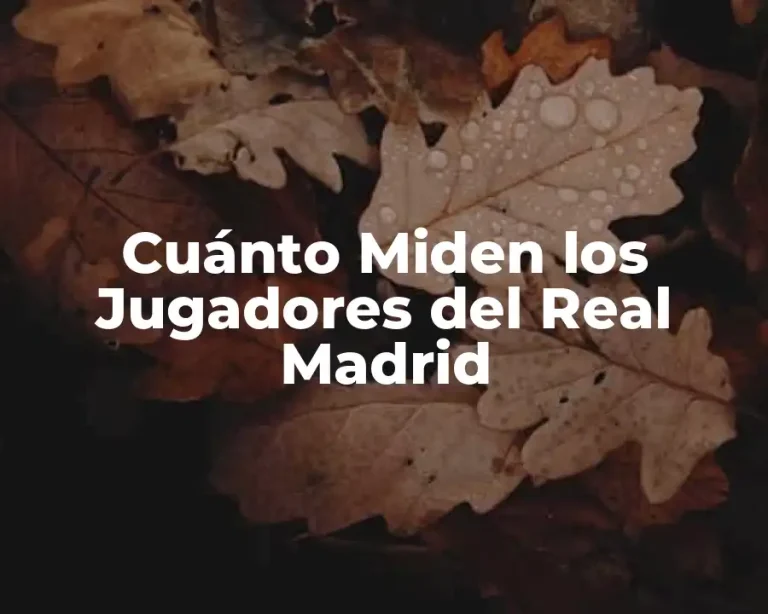 Cuánto Miden los Jugadores del Real Madrid