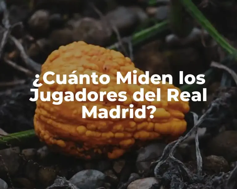 ¿Cuánto Miden los Jugadores del Real Madrid?