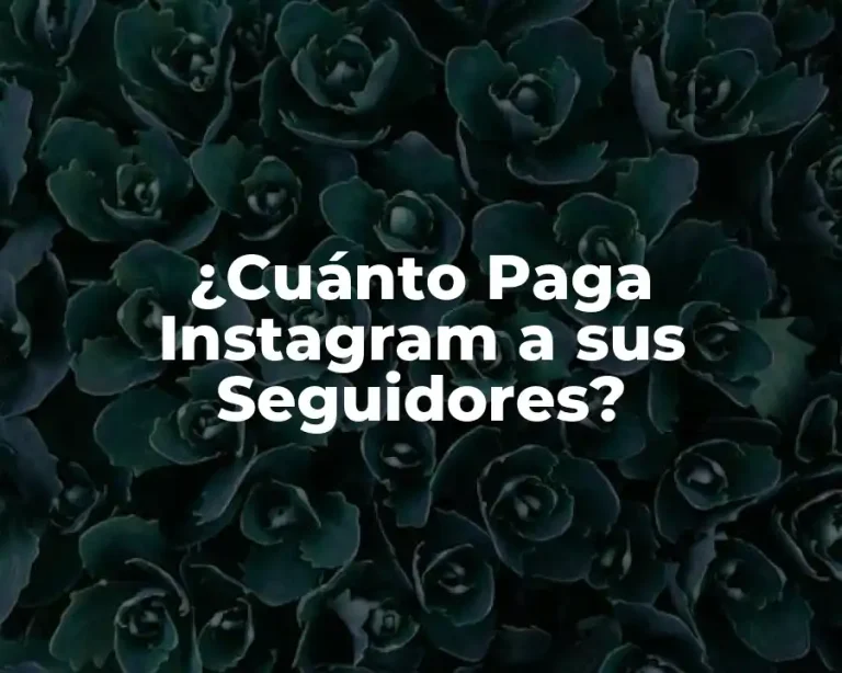 ¿Cuánto Paga Instagram a sus Seguidores?