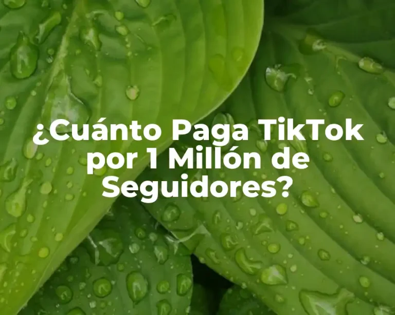 ¿Cuánto Paga TikTok por 1 Millón de Seguidores?