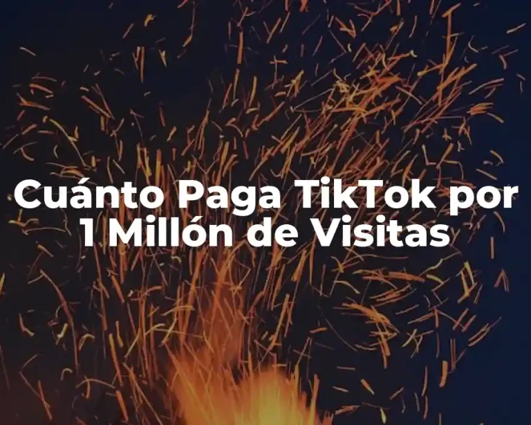 Cuánto Paga TikTok por 1 Millón de Visitas