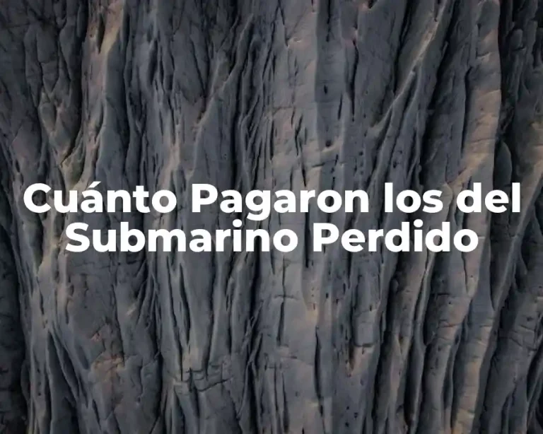 Cuánto Pagaron los del Submarino Perdido