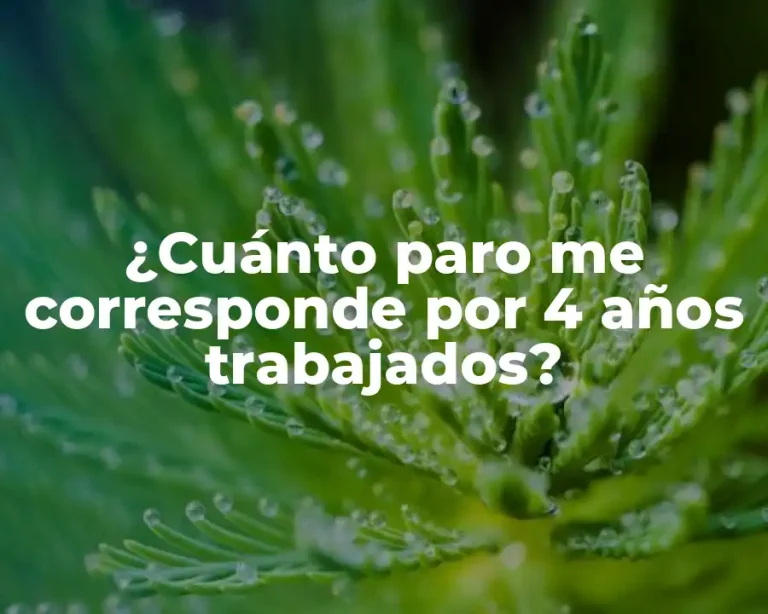 ¿Cuánto paro me corresponde por 4 años trabajados?