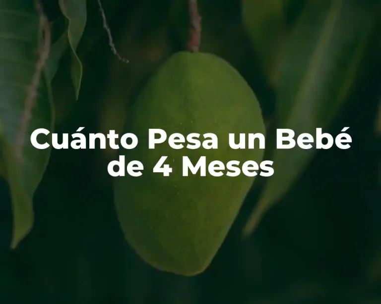 Cuánto Pesa un Bebé de 4 Meses
