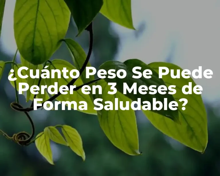 ¿Cuánto Peso Se Puede Perder en 3 Meses de Forma Saludable?