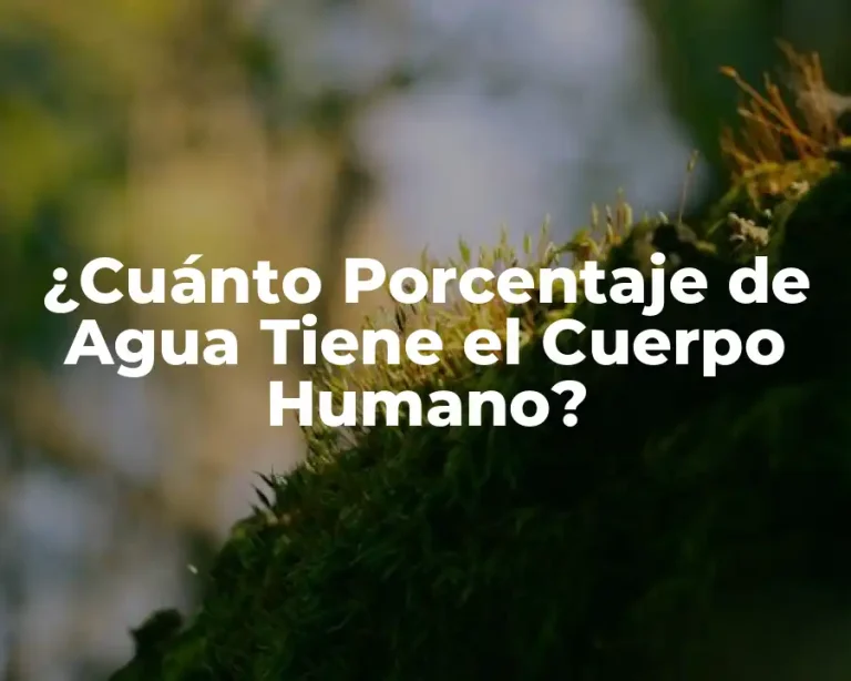 ¿Cuánto Porcentaje de Agua Tiene el Cuerpo Humano?