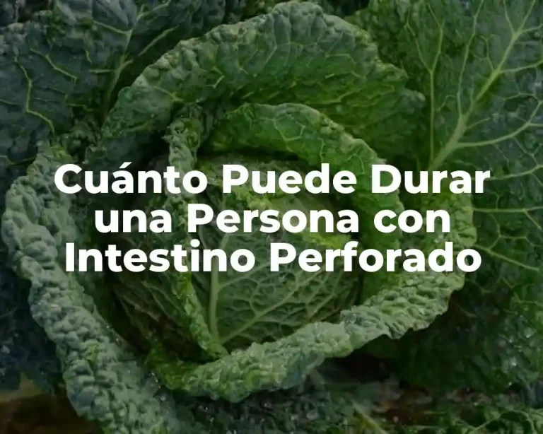 Cuánto Puede Durar una Persona con Intestino Perforado