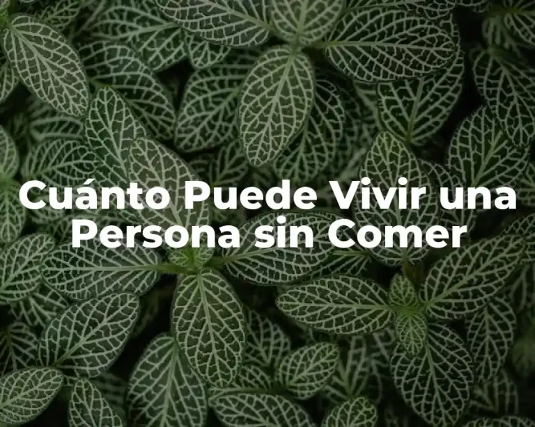 Cuánto Puede Vivir una Persona sin Comer