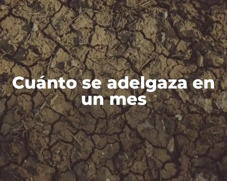 Cuánto se adelgaza en un mes