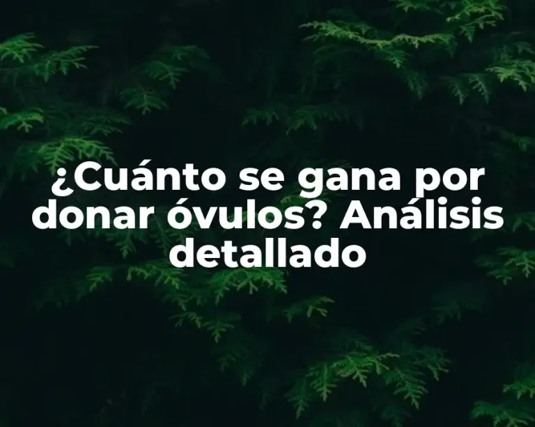 ¿Cuánto se gana por donar óvulos? Análisis detallado