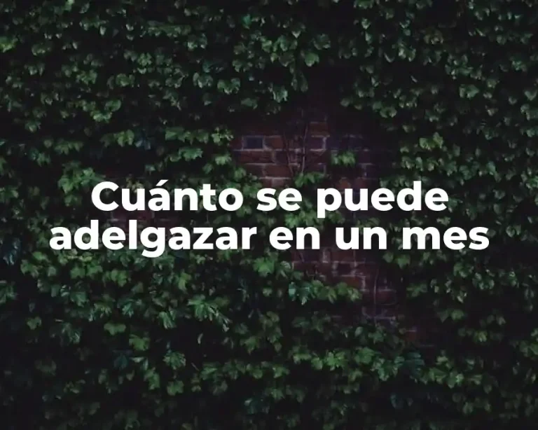 Cuánto se puede adelgazar en un mes