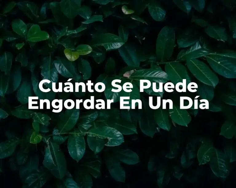 Cuánto Se Puede Engordar En Un Día