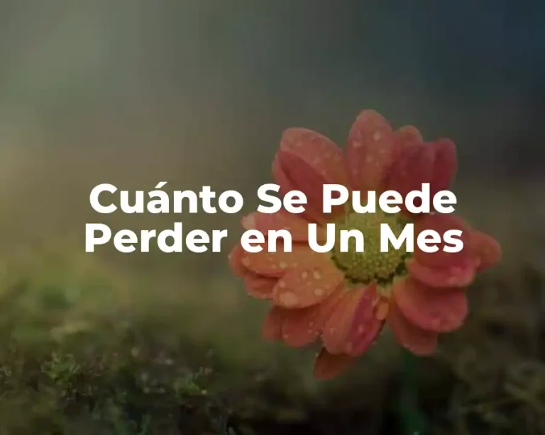 Cuánto Se Puede Perder en Un Mes