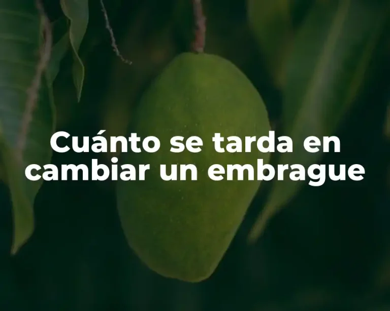 Cuánto se tarda en cambiar un embrague