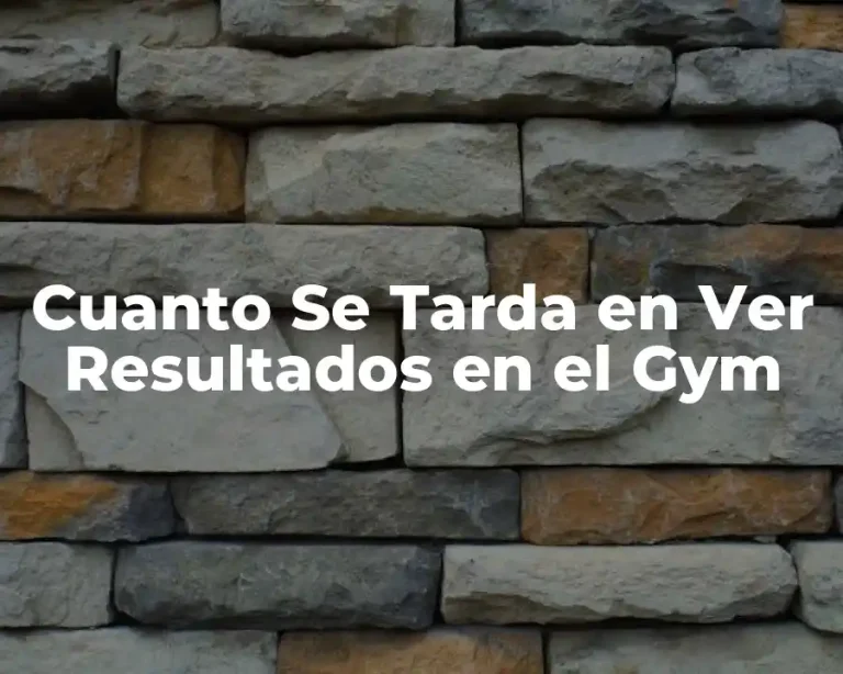 Cuanto Se Tarda en Ver Resultados en el Gym