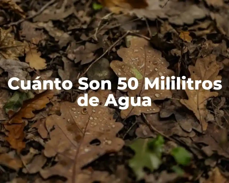 Cuánto Son 50 Mililitros de Agua