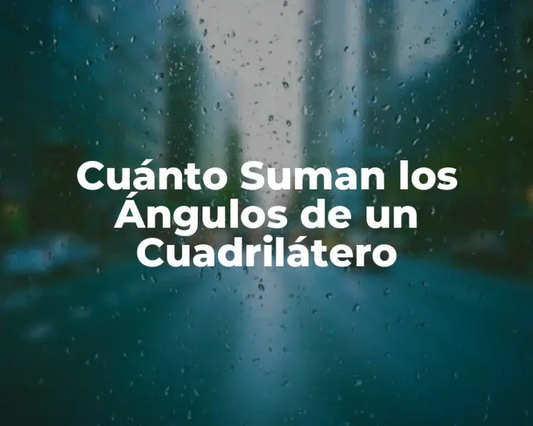 Cuánto Suman los Ángulos de un Cuadrilátero